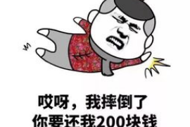 栖霞企业清欠服务